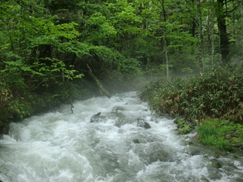 A Normally Peaceful Stream Roaring with Excess Water