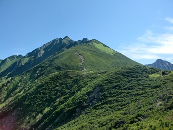 Getting Above the Treeline on Mt. Nishi-Hotaka-dake