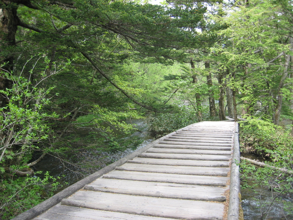konashi daira, no monkeys allowed zone