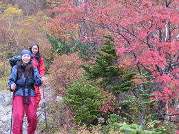 On the trail, admiring the stunning colors