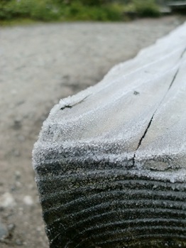 A Frosted-Over Bench