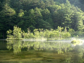 What Clear and Still Water...