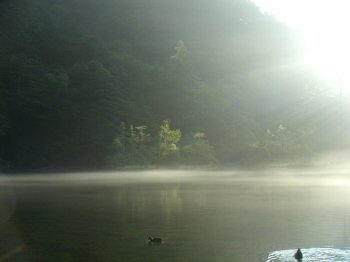 The Morning Mist Rising