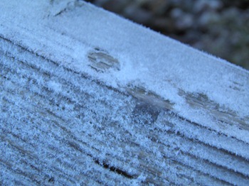 This Time There is a Lot More Frost