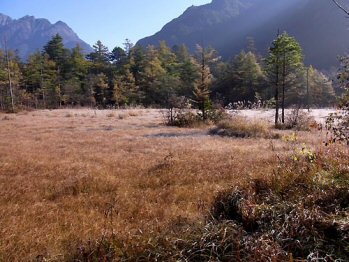 Tashiro-Shitsugen Wetlands