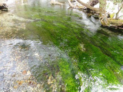 Shimizu-gawa River