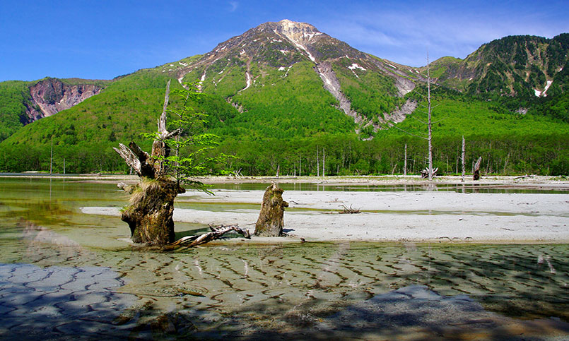 Taisho Pond Japan Alps Kamikochi Official Website