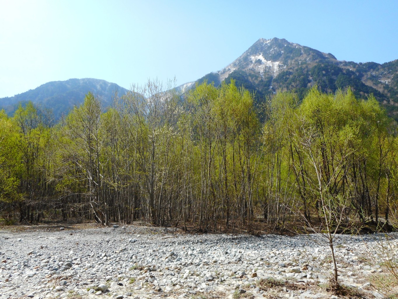 Photo courtesy of Nature Guide: Five Sense, Kamikochi blog